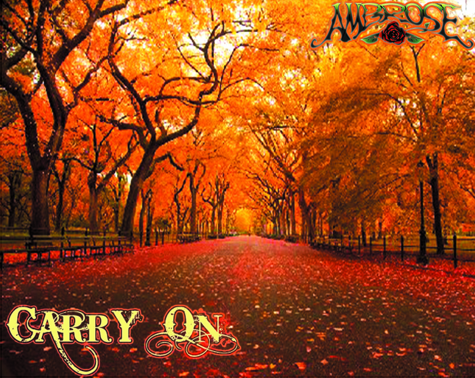 carryonambroseinternet12secondsjpg